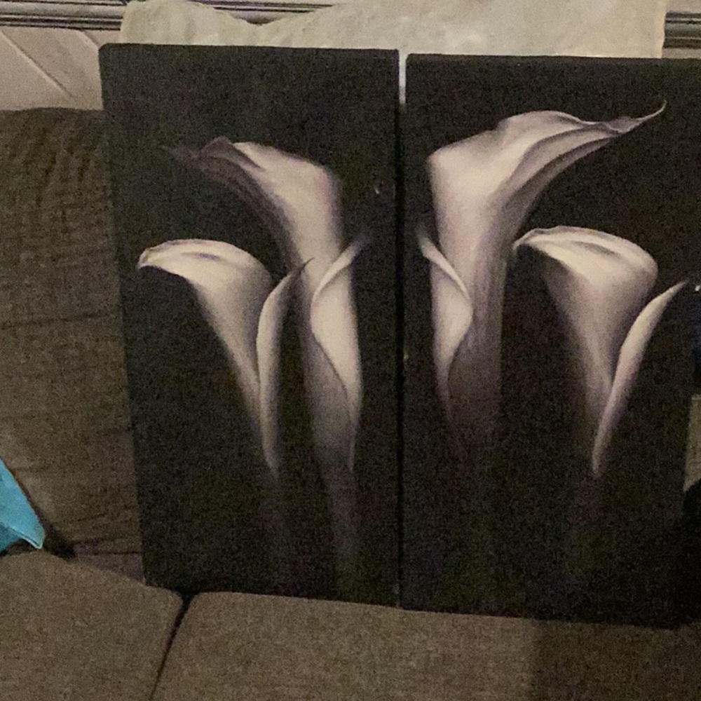 Painting very expensive